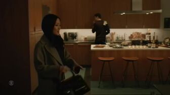 Elsbeth S03E17-HDTV-X264-NGP
